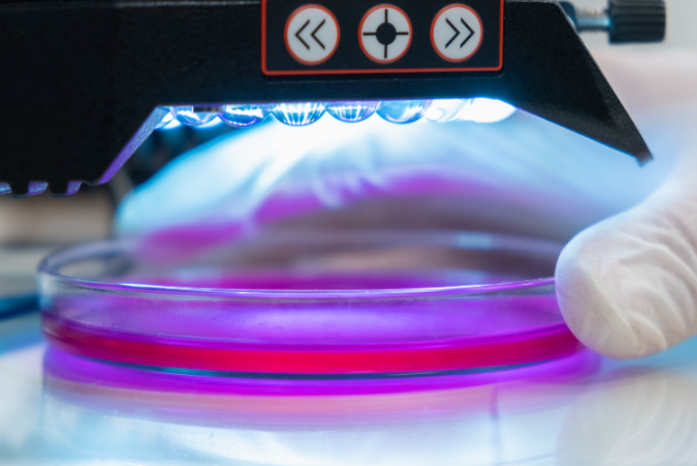 українські фармацевтичні компанії