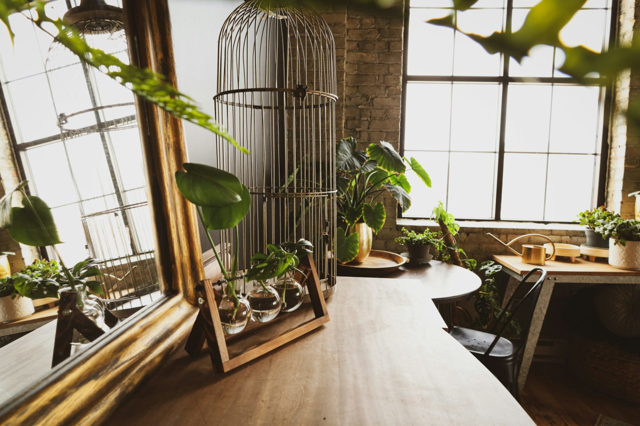 Как отличить мебель из массива от шпона: подробная инструкция